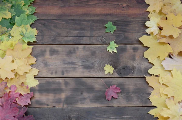 Sommige Van Vergeling Gevallen Herfstbladeren Verschillende Kleuren Het Oppervlak Van — Stockfoto