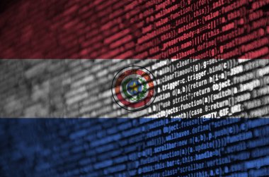 Paraguay bayrak üstünde perde program kodu ile tasvir edilir. Modern teknoloji ve site geliştirme kavramı.