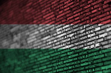 Macaristan bayrağı ekrandaki program kodu ile tasvir edilir. Modern teknoloji ve site geliştirme kavramı.