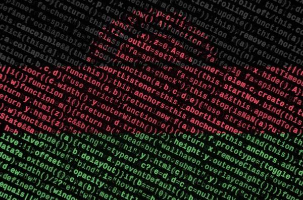 马拉维国旗用程序代码在屏幕上描述 现代技术理念与网站开发 — 图库照片