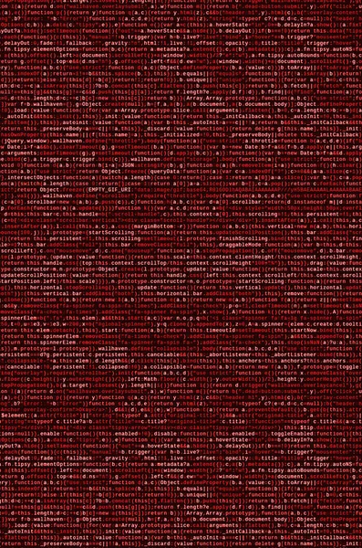 Computer Programma Voorvertoning Programmering Code Typen Informatie Technologie Website Coderingsnormen — Stockfoto