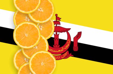 Brunei Darussalam bayrak ve portakal Narenciye meyve dilimleri dikey satır. İthalat ve ihracat narenciye yanı sıra büyüyen kavramı