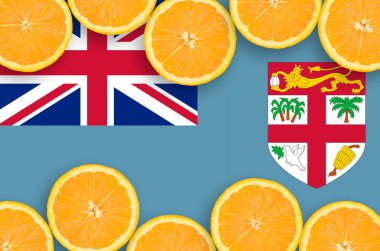 Fiji bayrak portakal Narenciye meyve dilimleri yatay çerçeve içinde. İthalat ve ihracat narenciye yanı sıra büyüyen kavramı