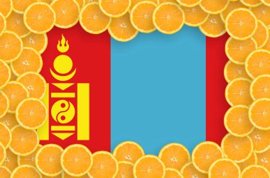 Moğolistan bayrağı çerçevesinde portakal Narenciye meyve dilimleri. İthalat ve ihracat narenciye yanı sıra büyüyen kavramı