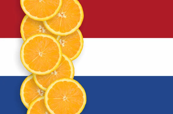 Niederländische Flagge Und Senkrechte Reihe Orangefarbener Zitrusfrüchte Konzept Des Anbaus — Stockfoto