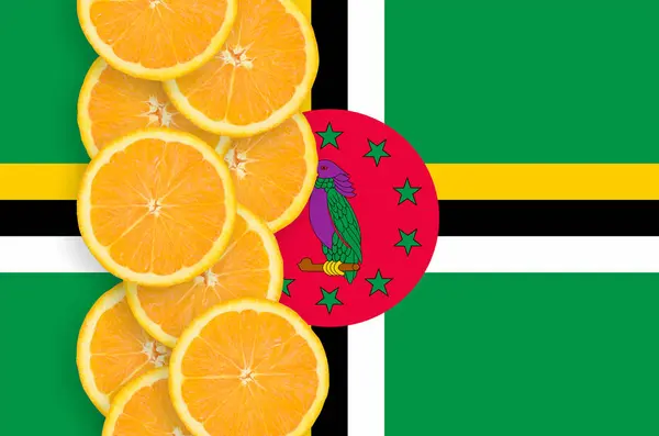 Dominica Flag Vertical Row Orange Citrus Fruit Slices Concept Growing — Stock Photo, Image