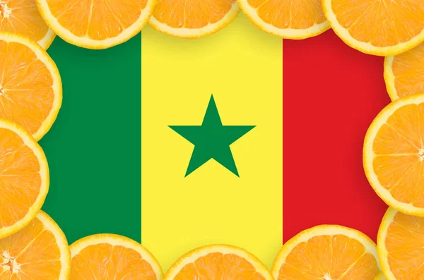 Szenegál Zászlaja Keret Narancssárga Citrus Gyümölcs Szelet Koncepció Valamint Behozatali — Stock Fotó