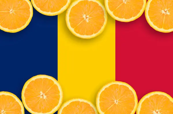 Tchads Flagga Horisontell Ram Orange Citrus Frukt Skivor Begreppet Växer — Stockfoto