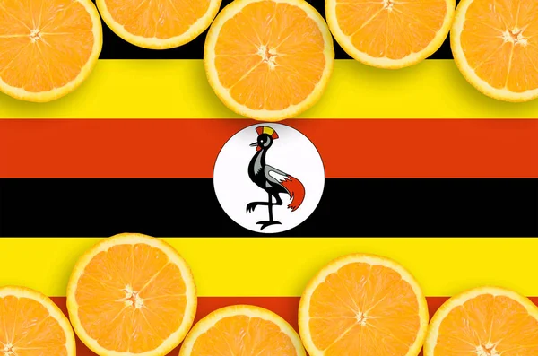 Flaga Ugandy Ramce Poziomej Plasterki Pomarańczy Owoców Cytrusowych Koncepcja Uprawy — Zdjęcie stockowe