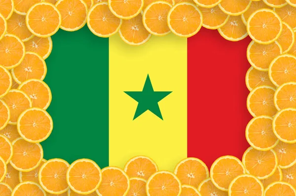 Bandeira Senegal Quadro Fatias Frutas Cítricas Laranja Conceito Cultura Bem — Fotografia de Stock