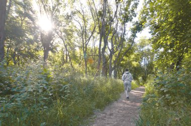 Bir gri spor elbiseli bir genç adam ormandaki ağaçlar arasında yol boyunca çalışır. Açık havada koşu spor