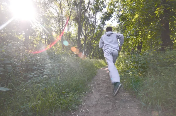 Young Guy Gray Sports Suit Runs Path Trees Forest Sports — Stock Photo, Image