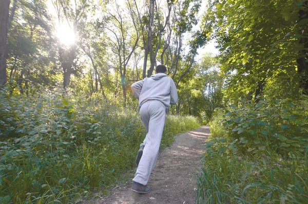 A young guy in a gray sports suit runs along the path among the trees in the forest. Sports jogging outdoors. Movement effect