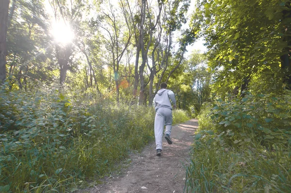 A young guy in a gray sports suit runs along the path among the trees in the forest. Sports jogging outdoors