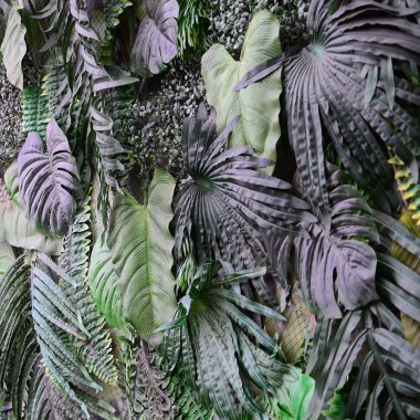 Tropikal yeşil arka plan, fern, palmiye ve Monstera Deliciosa yaprak duvara bırakır. Çiçek orman desen kavramı arka plan yakın çekim