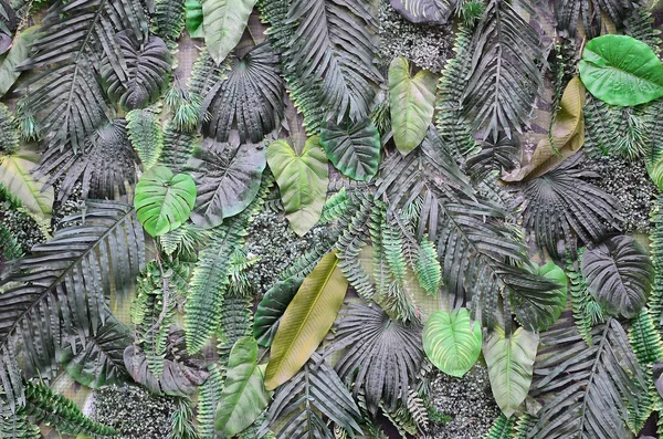 Tropiskt Gröna Blad Bakgrund Ormbunke Palm Och Monstera Deliciosa Blad — Stockfoto