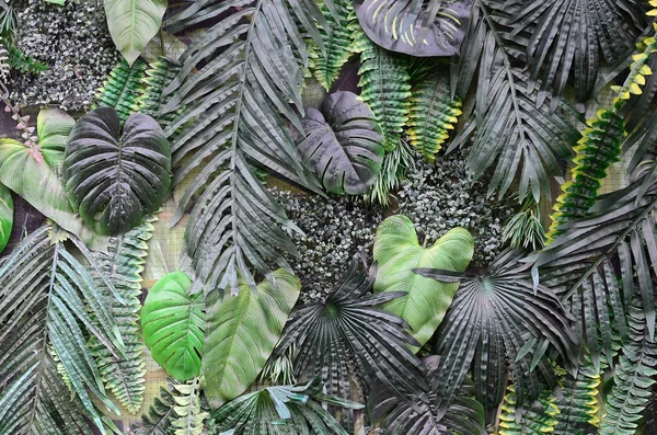Tropische Grüne Blätter Hintergrund Farn Palme Und Monstera Deliciosa Blatt — Stockfoto