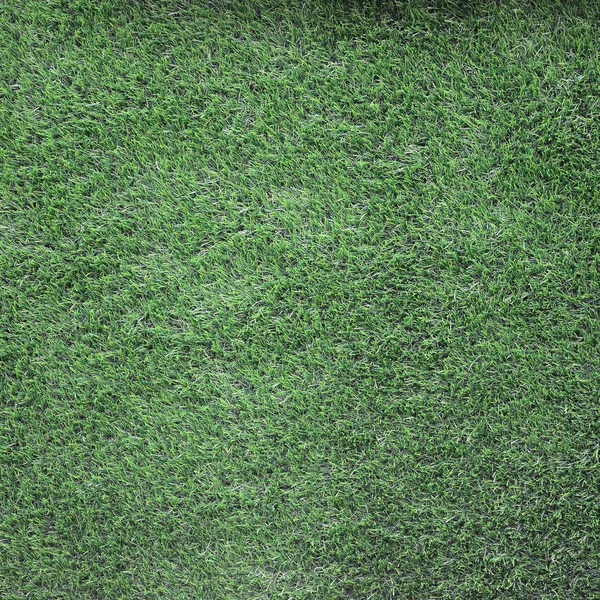 Grönt Gräs Bakgrund Grön Gräsmatta Mönster Texturerat Bakgrund Mörka Fragment — Stockfoto