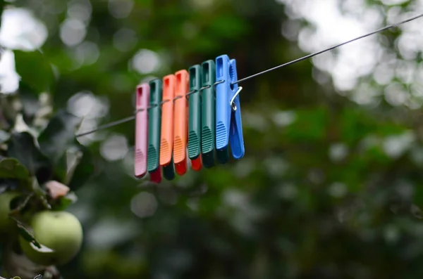 Clothespins Rope Hanging House Apple Tree Blurred Background — Stock Photo, Image