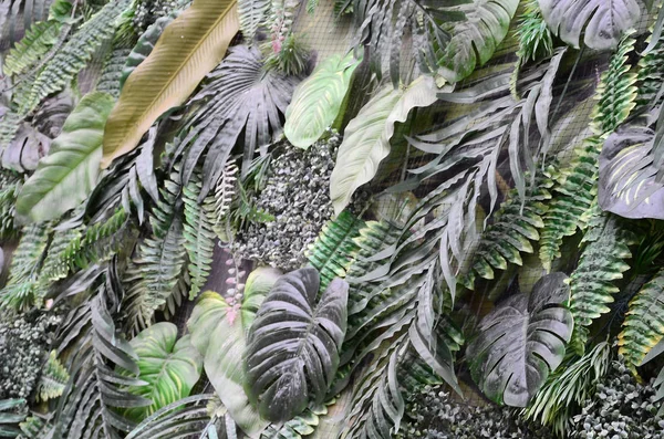 Tropiskt Gröna Blad Bakgrund Ormbunke Palm Och Monstera Deliciosa Blad — Stockfoto