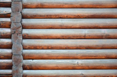 Hewn timber. Rustic log wall horizontal timber background. Fragment of unpainted wooden debarked logs. House wall wallpaper texture clipart