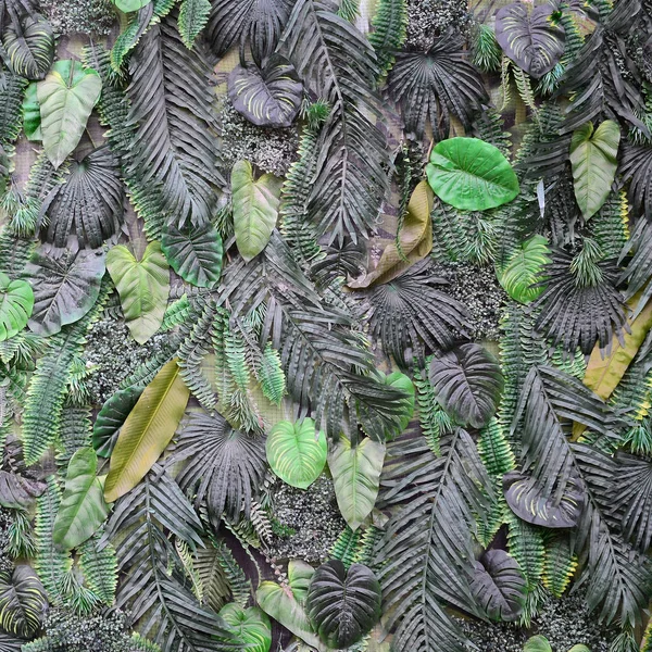 Tropikal Yeşil Arka Plan Fern Palmiye Monstera Deliciosa Yaprak Duvara — Stok fotoğraf