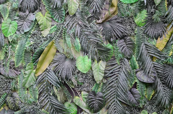 Tropisch Groene Bladeren Achtergrond Varens Palm Monstera Deliciosa Blad Muur — Stockfoto