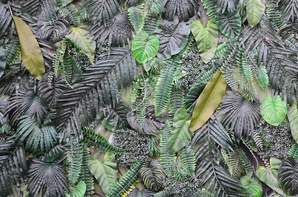 Tropical Folhas Verdes Fundo Samambaia Palma Monstera Deliciosa Folha Parede — Fotografia de Stock