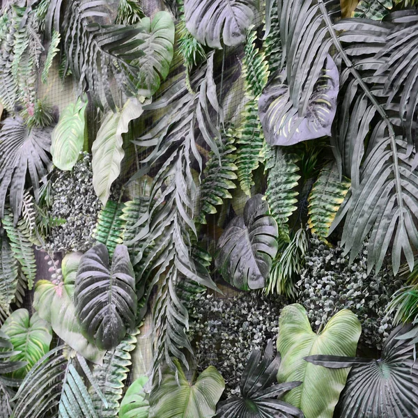 热带绿叶的背景 蕨类植物 棕榈和山花叶在墙上 花卉丛林模式概念背景关闭 — 图库照片
