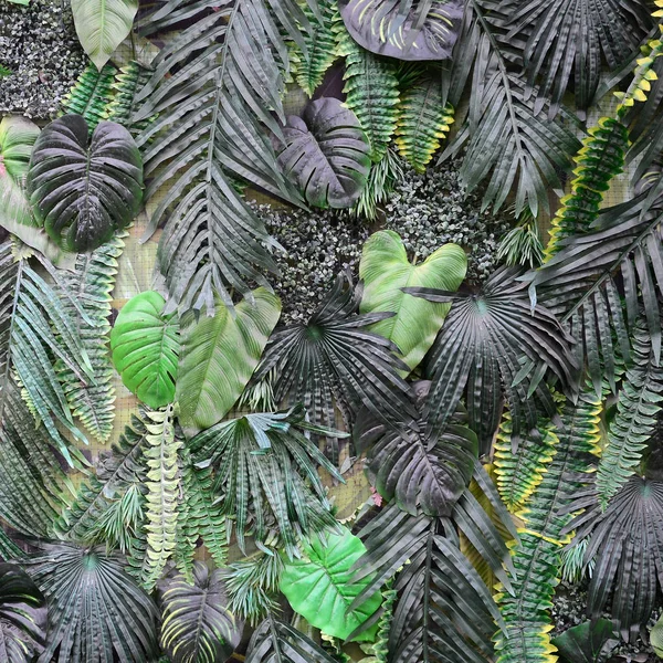 Tropikal Yeşil Arka Plan Fern Palmiye Monstera Deliciosa Yaprak Duvara — Stok fotoğraf