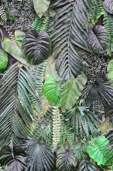 Tropiskt Gröna Blad Bakgrund Ormbunke Palm Och Monstera Deliciosa Blad — Stockfoto