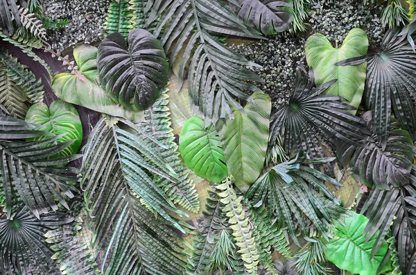 Tropisch Groene Bladeren Achtergrond Varens Palm Monstera Deliciosa Blad Muur — Stockfoto