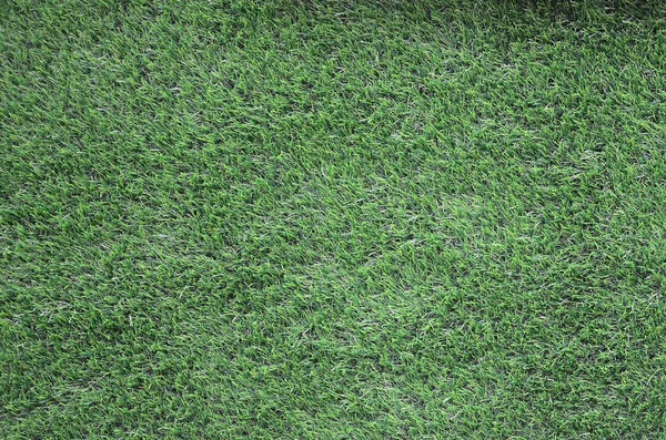 Green grass background, green lawn pattern textured background. Dark fragment of soccer field