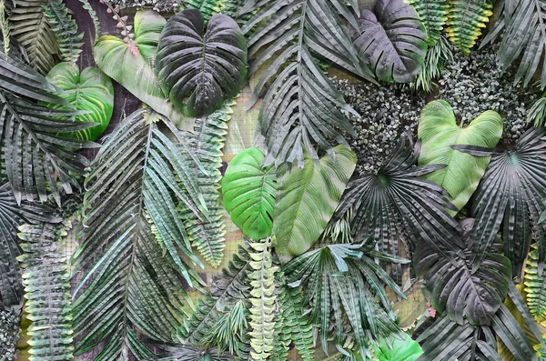 Liść Zielony Tropikalny Tło Paproć Palm Liść Monstera Dziurawa Ścianie — Zdjęcie stockowe