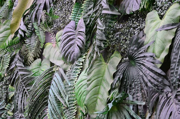 Tropiskt Gröna Blad Bakgrund Ormbunke Palm Och Monstera Deliciosa Blad — Stockfoto