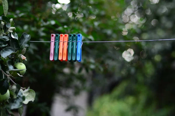 Clothespins Rope Hanging House Apple Tree Blurred Background — Stock Photo, Image