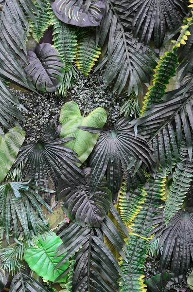 热带绿叶的背景 蕨类植物 棕榈和山花叶在墙上 花卉丛林模式概念背景关闭 — 图库照片