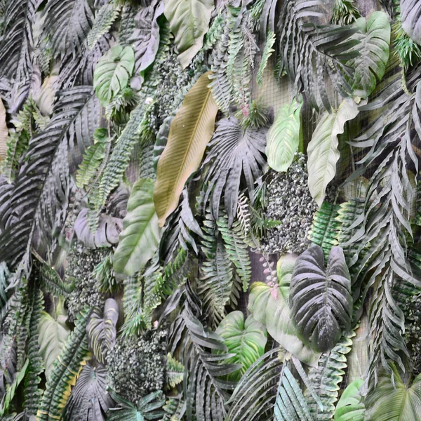 Liść Zielony Tropikalny Tło Paproć Palm Liść Monstera Dziurawa Ścianie — Zdjęcie stockowe