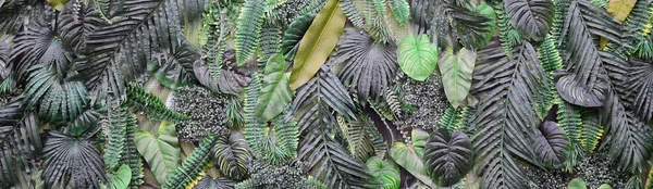 Hojas Verdes Tropicales Fondo Helecho Palma Hoja Monstera Deliciosa Pared —  Fotos de Stock