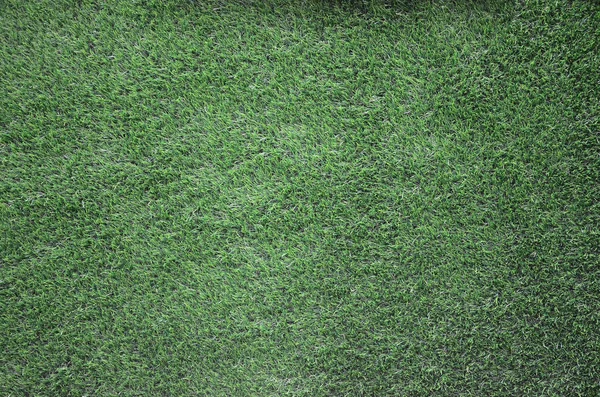 Green Grass Background Green Lawn Pattern Textured Background Dark Fragment — Stock Photo, Image