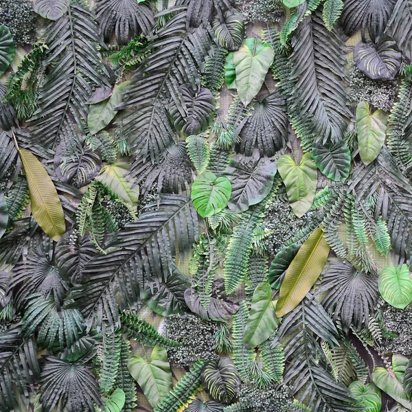 Tropical Green Leaves Background Fern Palm Monstera Deliciosa Leaf Wall — Stock Photo, Image