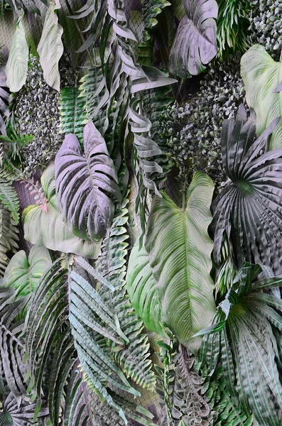 Tropikal Yeşil Arka Plan Fern Palmiye Monstera Deliciosa Yaprak Duvara — Stok fotoğraf