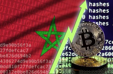 Fas bayrak ve bitcoin araştırma ekran ve iki fiziksel altın bitcoins yükselen Yeşil ok