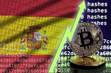 İspanya bayrak ve bitcoin araştırma ekran ve iki fiziksel altın bitcoins yükselen Yeşil ok