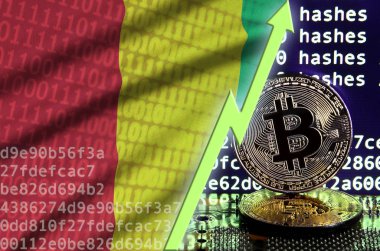 Gine bayrağı ve bitcoin araştırma ekran ve iki fiziksel altın bitcoins yükselen Yeşil ok