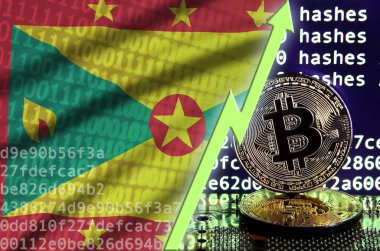 Grenada bayrağı ve bitcoin araştırma ekran ve iki fiziksel altın bitcoins yükselen Yeşil ok
