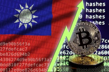 Tayvan Bayrağı ve bitcoin araştırma ekran ve iki fiziksel altın bitcoins yükselen Yeşil ok
