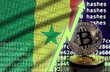 Senegal bayrak ve bitcoin araştırma ekran ve iki fiziksel altın bitcoins yükselen Yeşil ok
