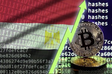 Mısır bayrak ve bitcoin araştırma ekran ve iki fiziksel altın bitcoins yükselen Yeşil ok