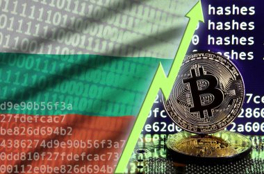 Bulgaristan bayrağı ve bitcoin araştırma ekran ve iki fiziksel altın bitcoins yükselen Yeşil ok